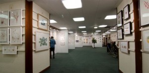 sba-exhibition-2011