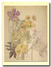 Flores de Mackintosh