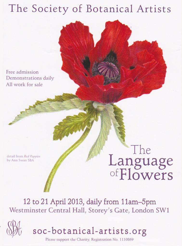 Invitación exposición The Languaje of Flowers